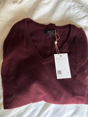 Quince Cashmere V-Neck Sweater in Burgundy